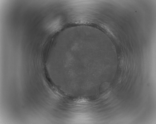 X0000071850643200607072302