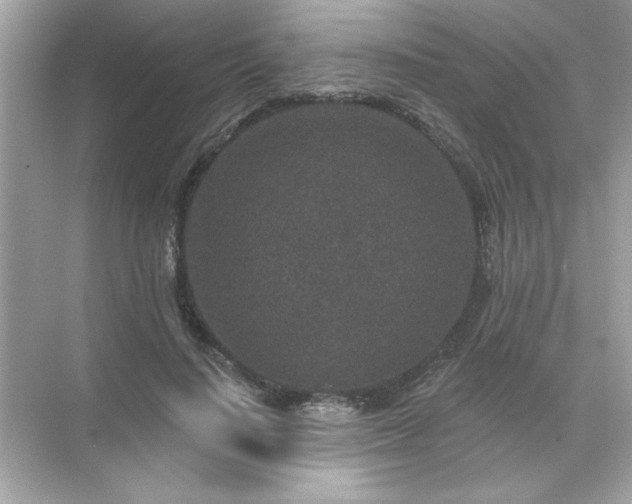 X0000071850644200607072302