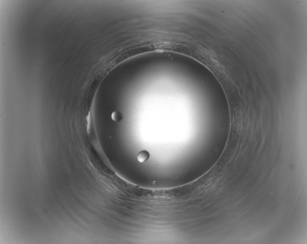 X0000071850645200607072302