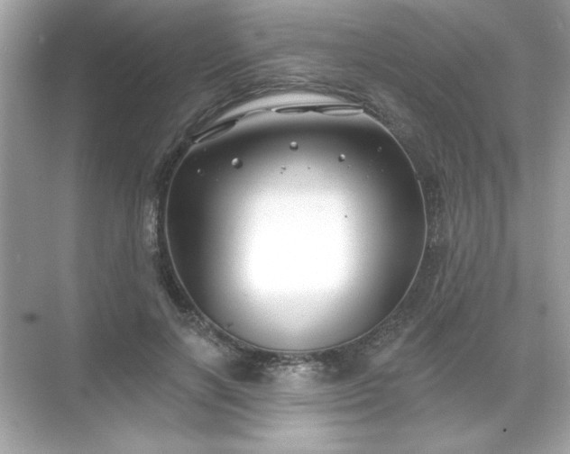 X0000071850646200607072302