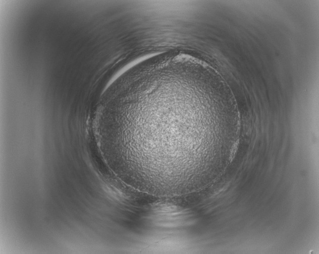 X0000071850648200607072302