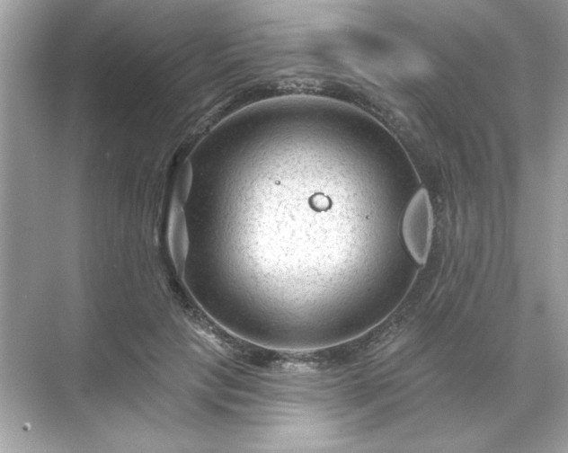 X0000071850649200607072302