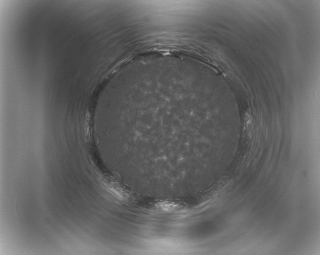 X0000071850650200607072302