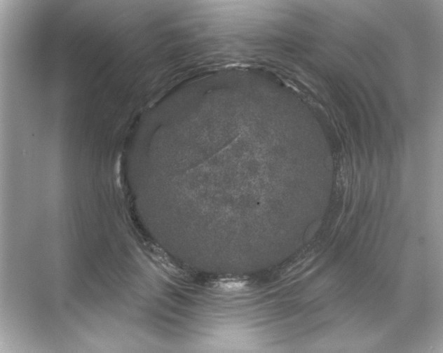 X0000071850651200607072302