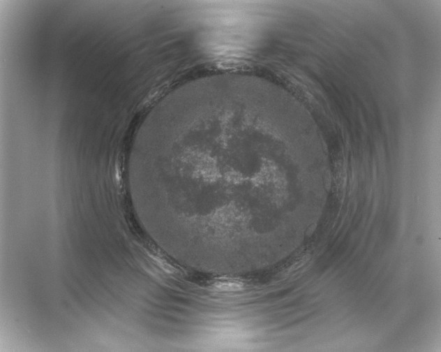 X0000071850653200607072302