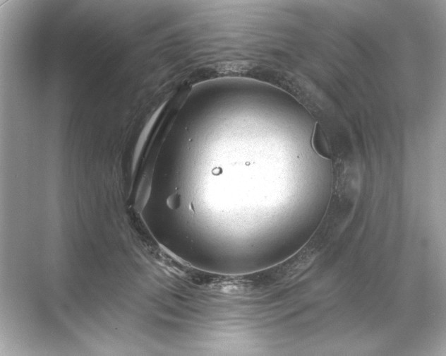 X0000071850655200607072303