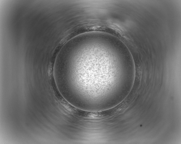 X0000071850657200607072303