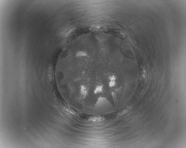 X0000071850659200607072303