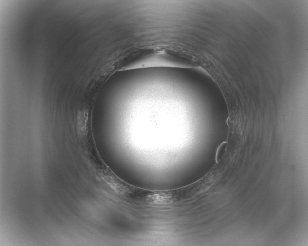 X0000071850660200607072303