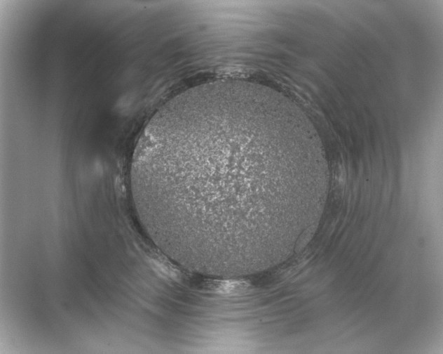 X0000071850663200607072303