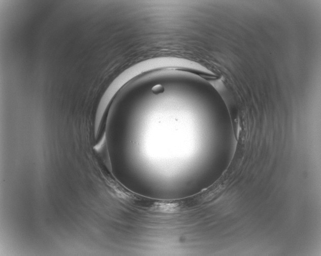 X0000071850665200607072303