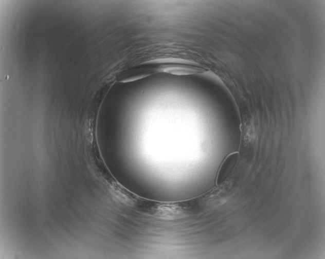 X0000071850666200607072303