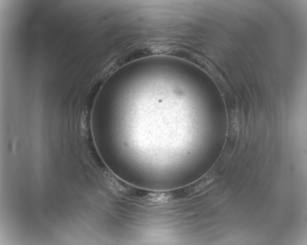 X0000071850667200607072303