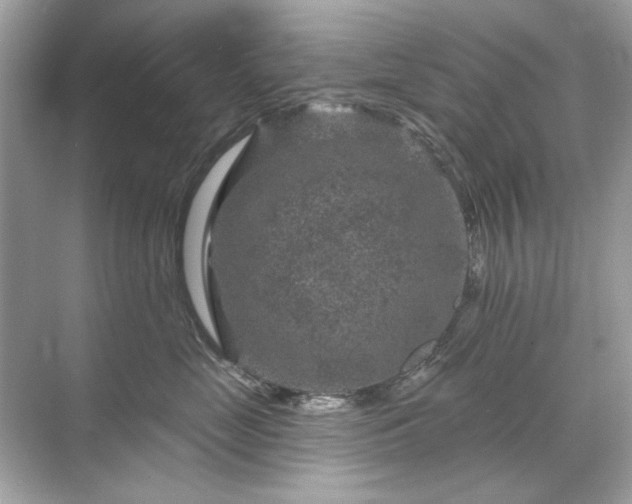 X0000071850669200607072303