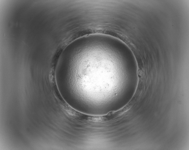 X0000071850671200607072303