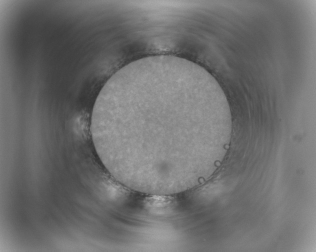 X0000071850672200607072303