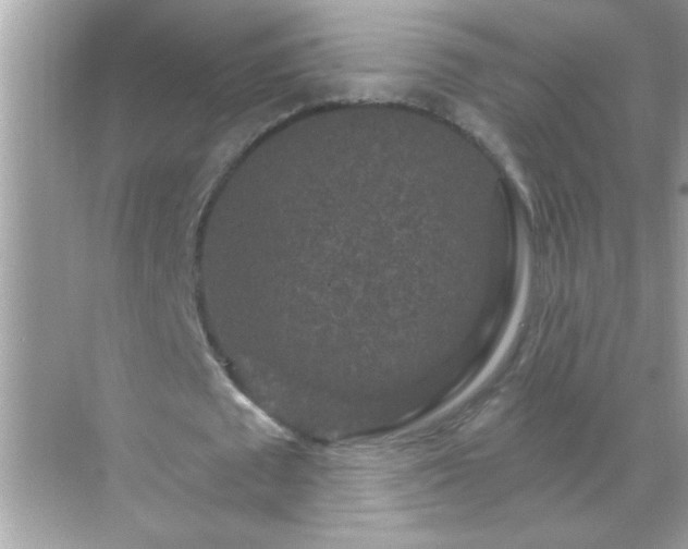 X0000071850673200607072302