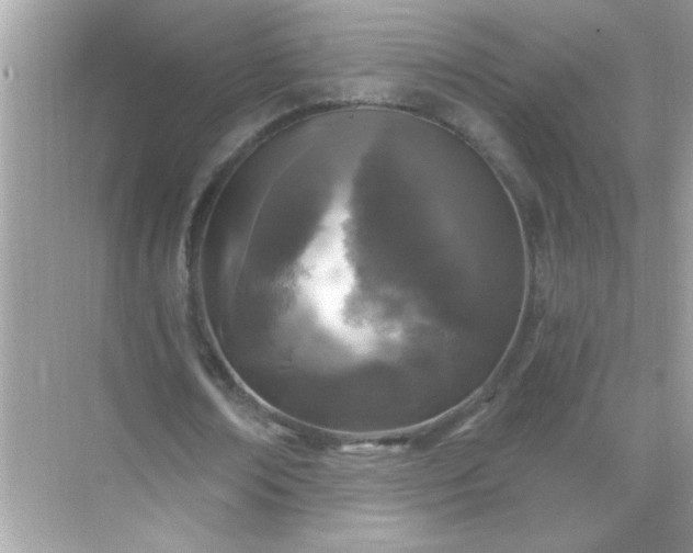 X0000071850674200607072302