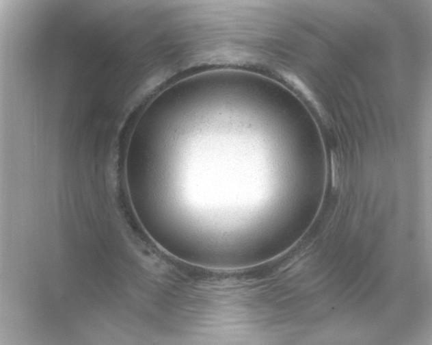 X0000071850675200607072302