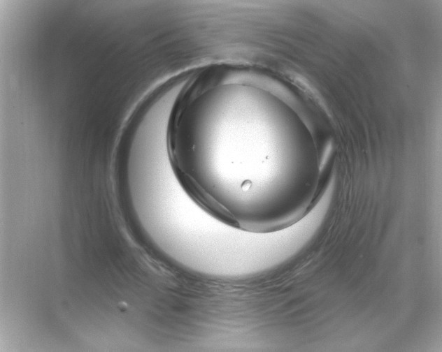 X0000071850676200607072302