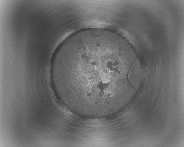 X0000071850679200607072302