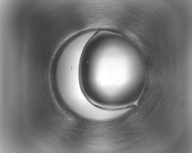 X0000071850680200607072302