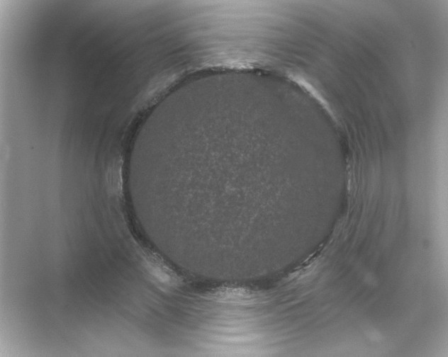 X0000071850685200607072302