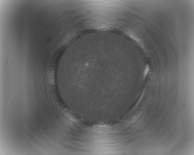 X0000071850689200607072302