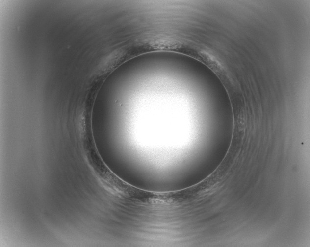 X0000071850690200607072302