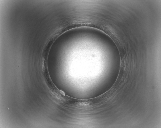 X0000071850692200607072302