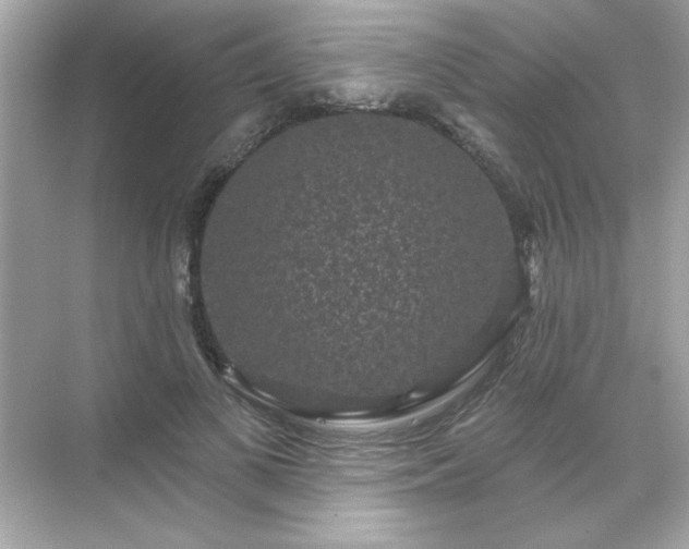 X0000071850693200607072302