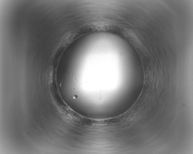 X0000071850694200607072302