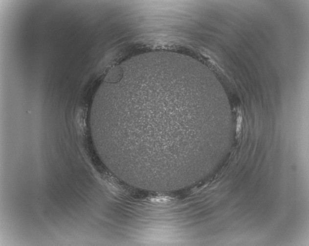 X0000071850695200607072302