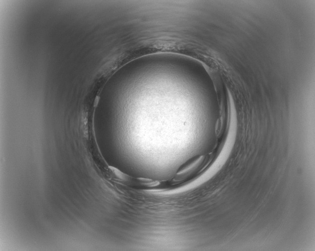 X0000071850696200607072302