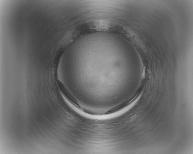 X0000071850697200607072302