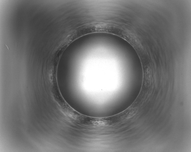 X0000071850698200607072302