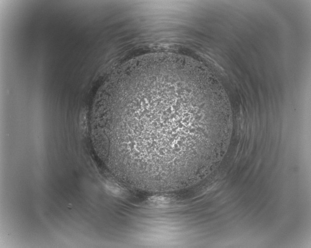 X0000071850699200607072302