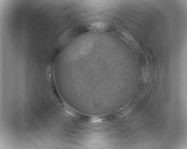 X0000071850701200607072302