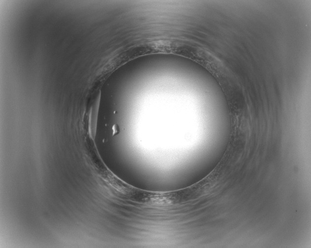 X0000071850702200607072301