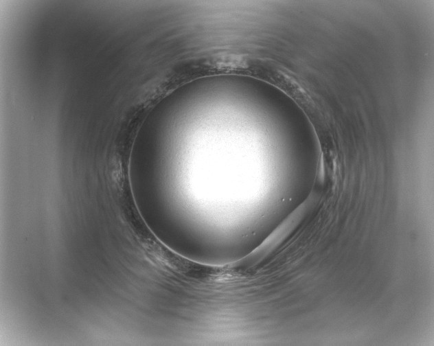 X0000071850704200607072301