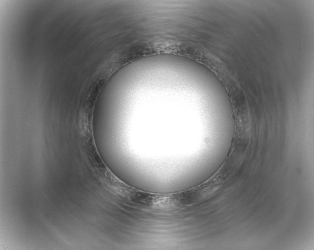 X0000071850705200607072301