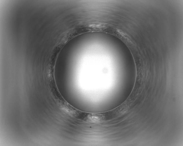 X0000071850706200607072301