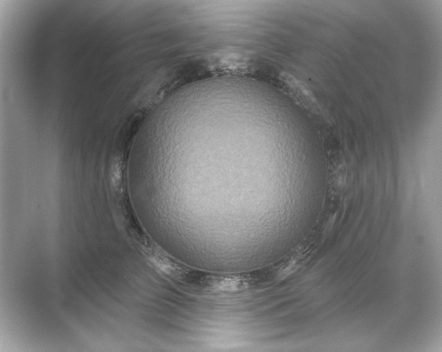 X0000071850709200607072301