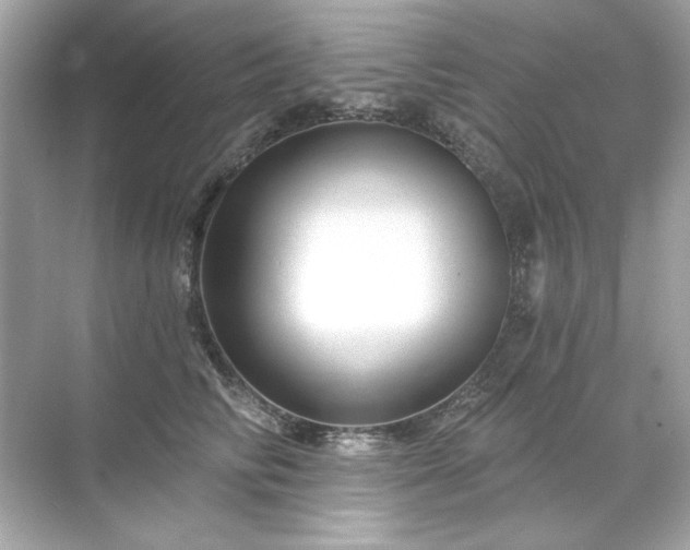 X0000071850710200607072301