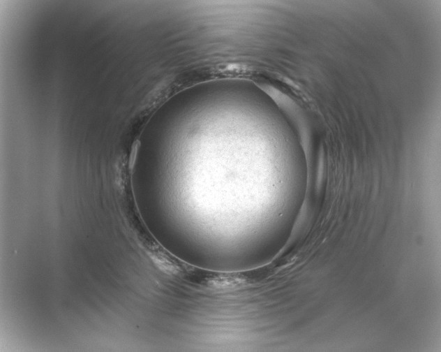 X0000071850712200607072301