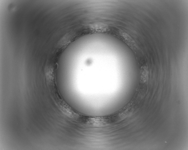 X0000071850713200607072301