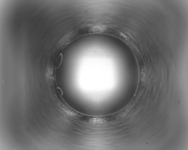 X0000071850714200607072301