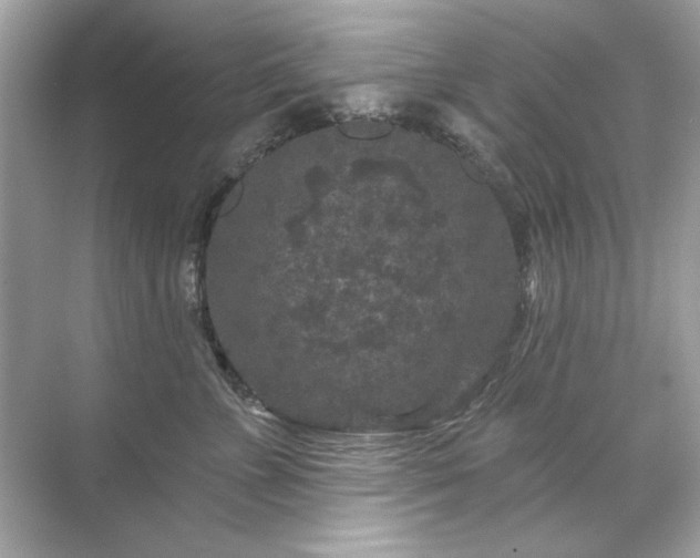 X0000071850715200607072301