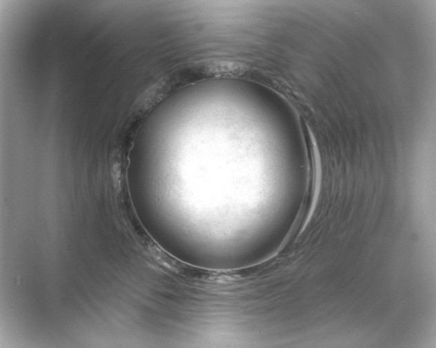 X0000071850716200607072301