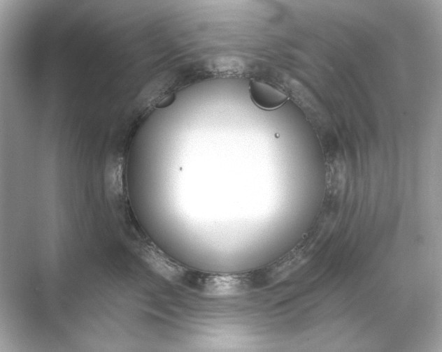 X0000071850717200607072301